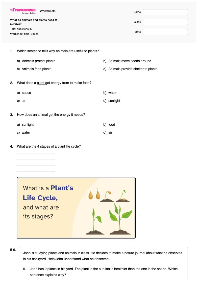 What do animals and plants need to survive? - พิมพ์ได้ Zoo-animals เวิร์กชีท ระดับ 2 - Wayground