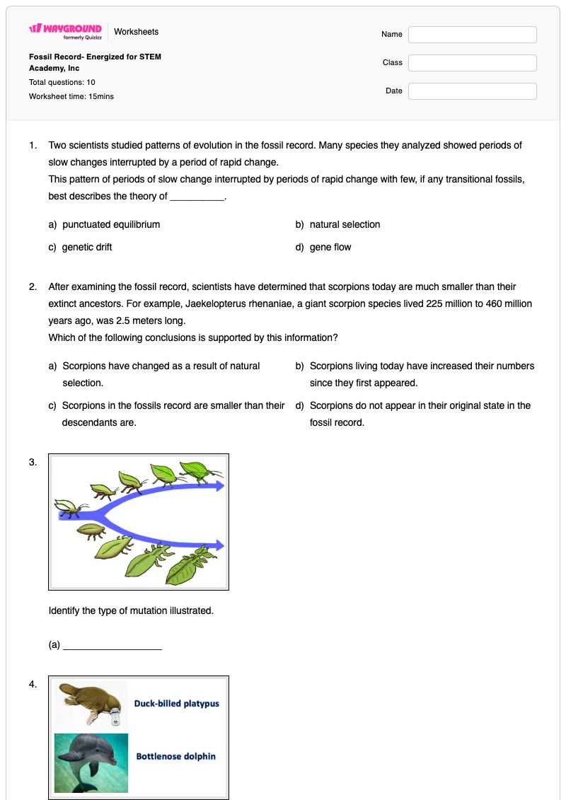 Fossil Record- Energized for STEM Academy, Inc - Printable Evidence-of-evolution Worksheets - Wayground
