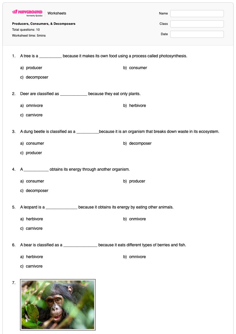 Producers, Consumers, & Decomposers - Printable Producer-and-consumer Worksheets - Wayground