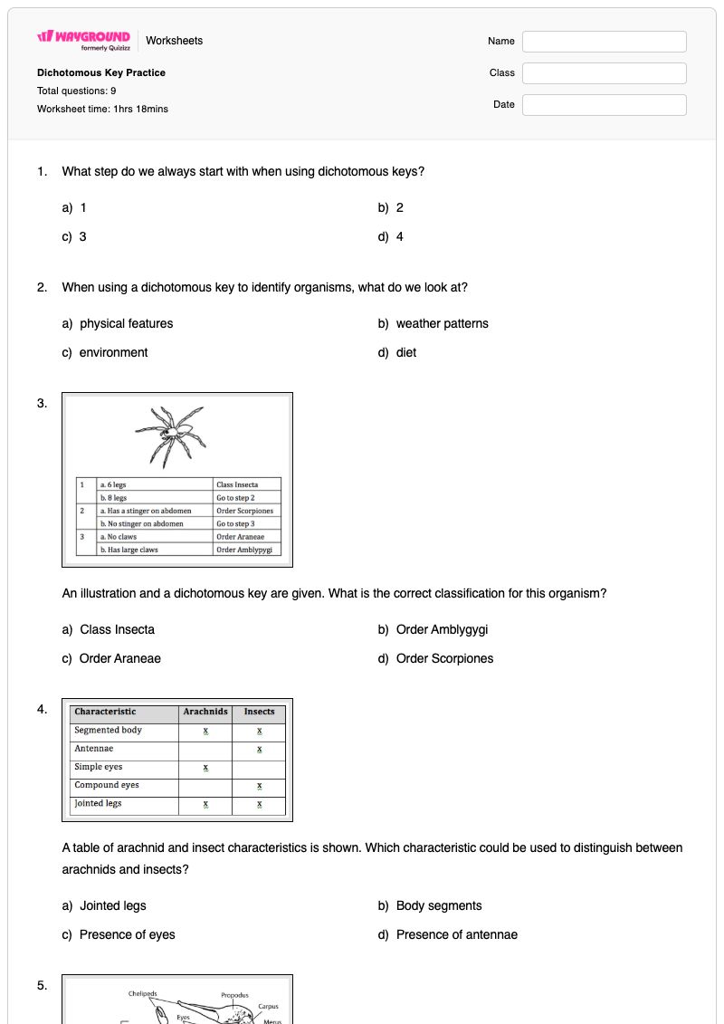 Dichotomous Key Practice - Printable Dichotomous-key Worksheets Year 7 - Wayground