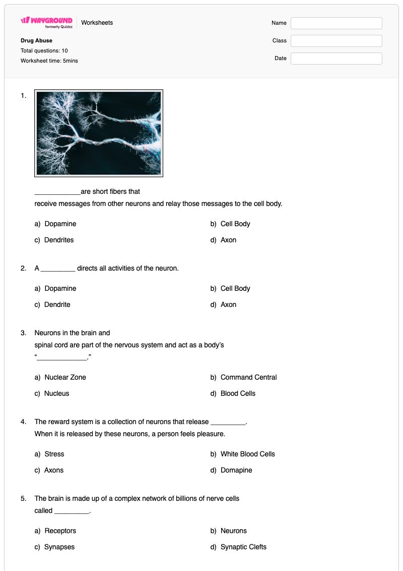 Drug Abuse - Printable Science Worksheets - Wayground
