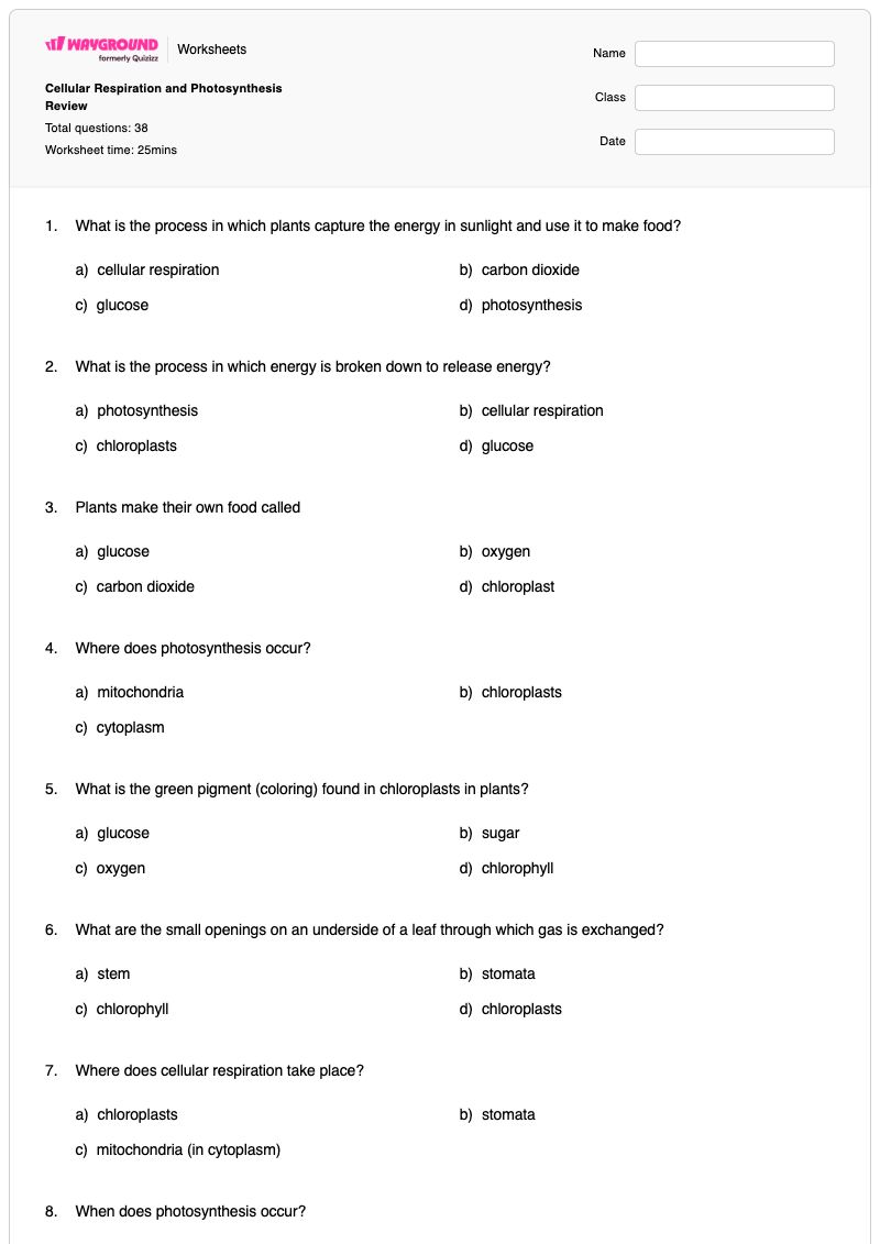 Cellular Respiration and Photosynthesis Review  - Printable Photosynthesis-and-cellular-respiration Worksheets - Wayground