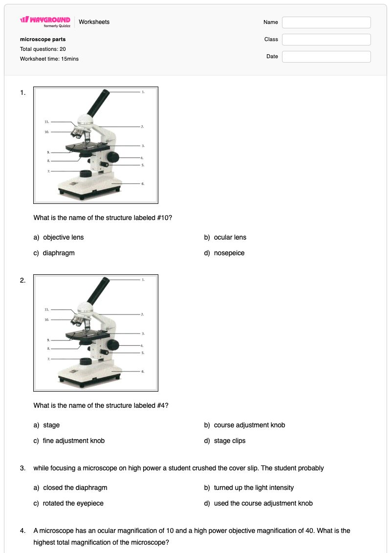 microscope parts - พิมพ์ได้ ชิ้นส่วนกล้องจุลทรรศน์ เวิร์กชีท - Wayground