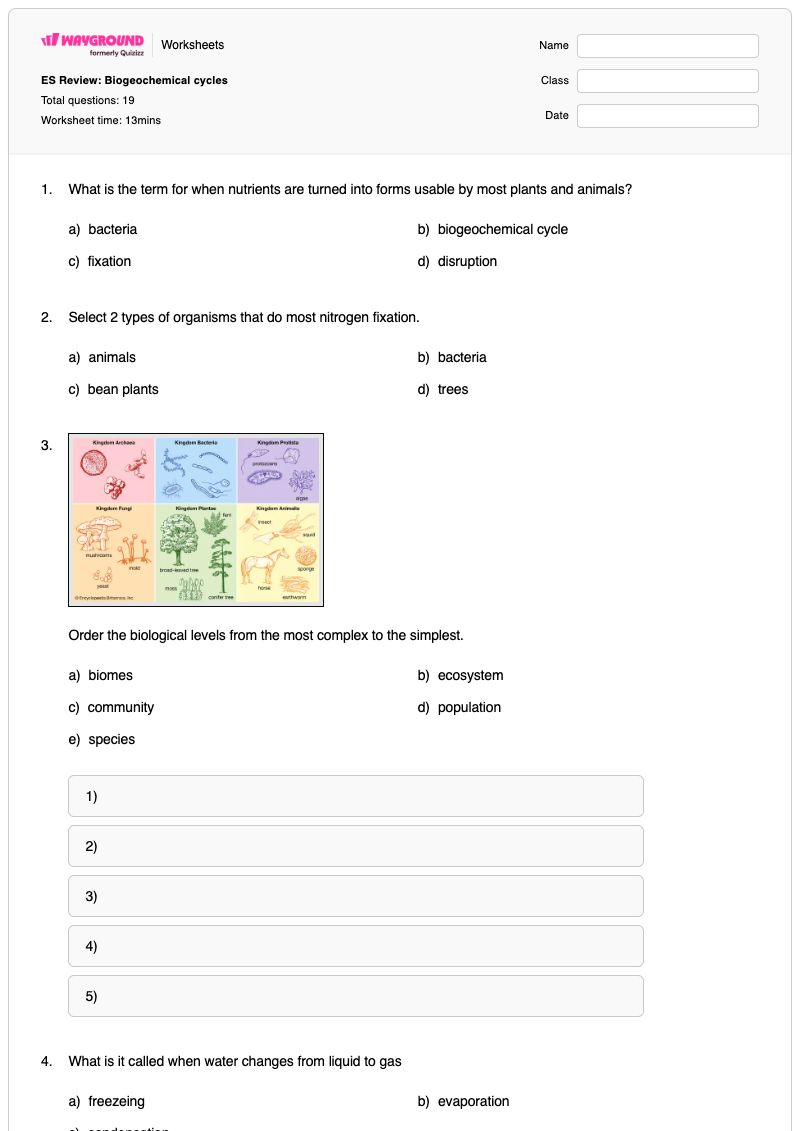 ES Review: Biogeochemical cycles - Printable Biogeochemical-cycles Worksheets Grade 11 - Wayground