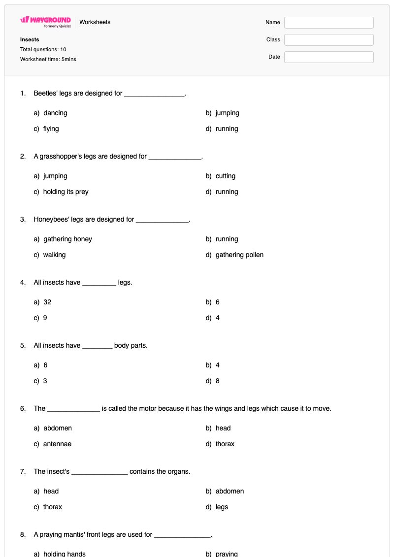 Insects - Printable Body-parts Worksheets - Wayground