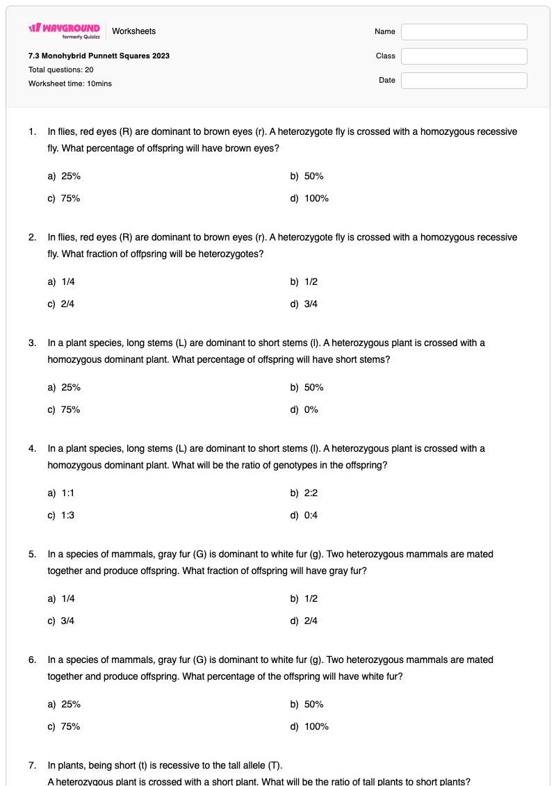 7.3 Monohybrid Punnett Squares 2023 - Printable Punnett-squares Worksheets Grade 9 - Wayground