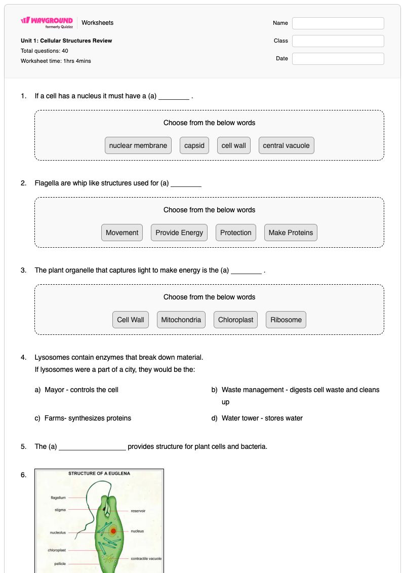 Unit 1: Cellular Structures Review - Printable Biology Worksheets - Wayground