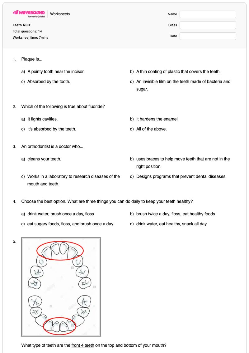 Teeth Quiz - Printable Dental-hygiene Worksheets Class 4 - Wayground