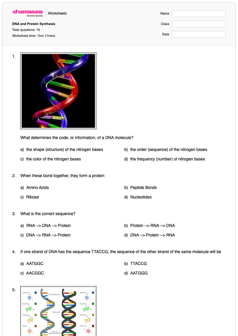 DNA and Protein Synthesis - Printable Dna-transcription-and-translation Worksheets - Wayground