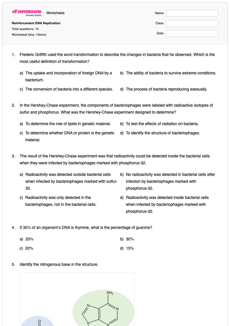 Reinforcement DNA Replication - Printable Dna-fingerprinting Worksheets Grade 9 - Wayground