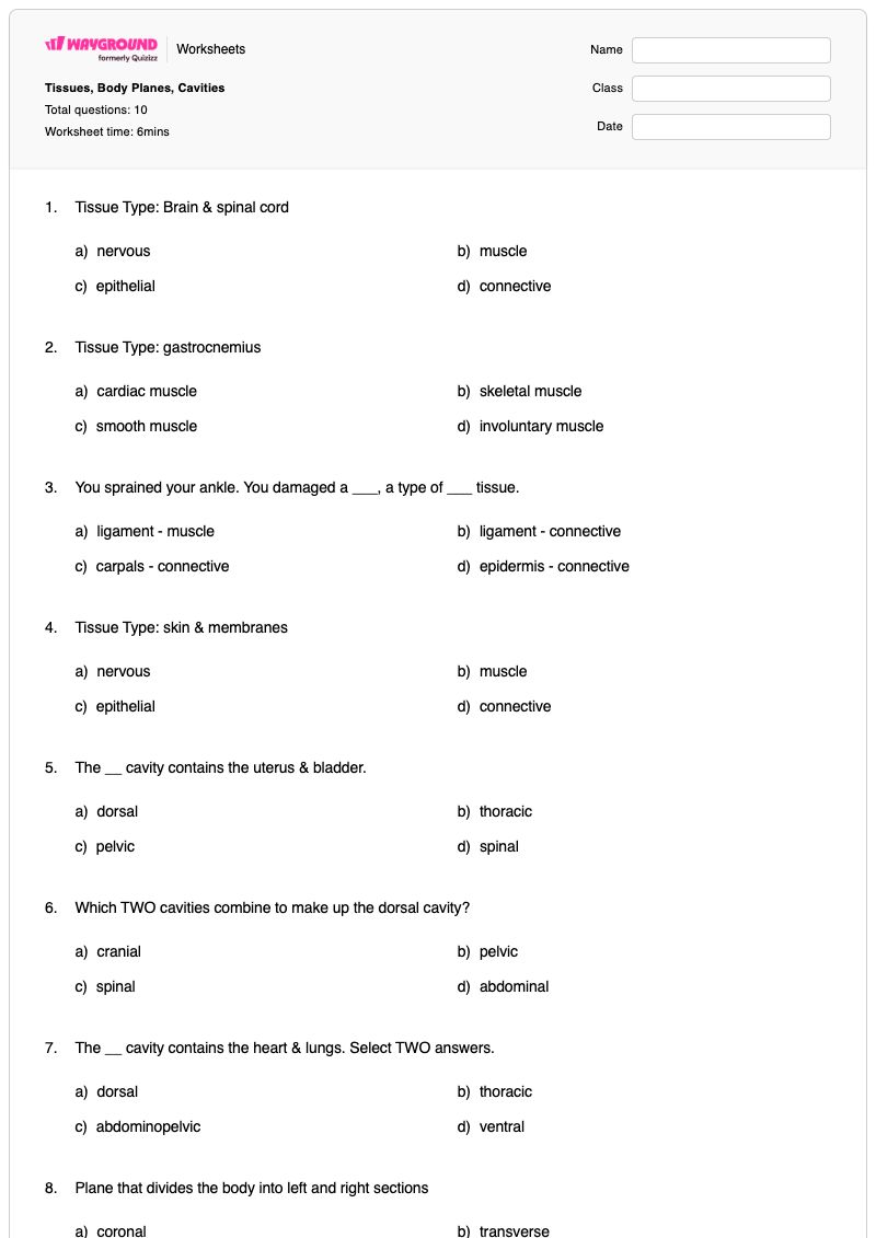 Tissues, Body Planes, Cavities - Printable Body-planes Worksheets Year 10 - Wayground