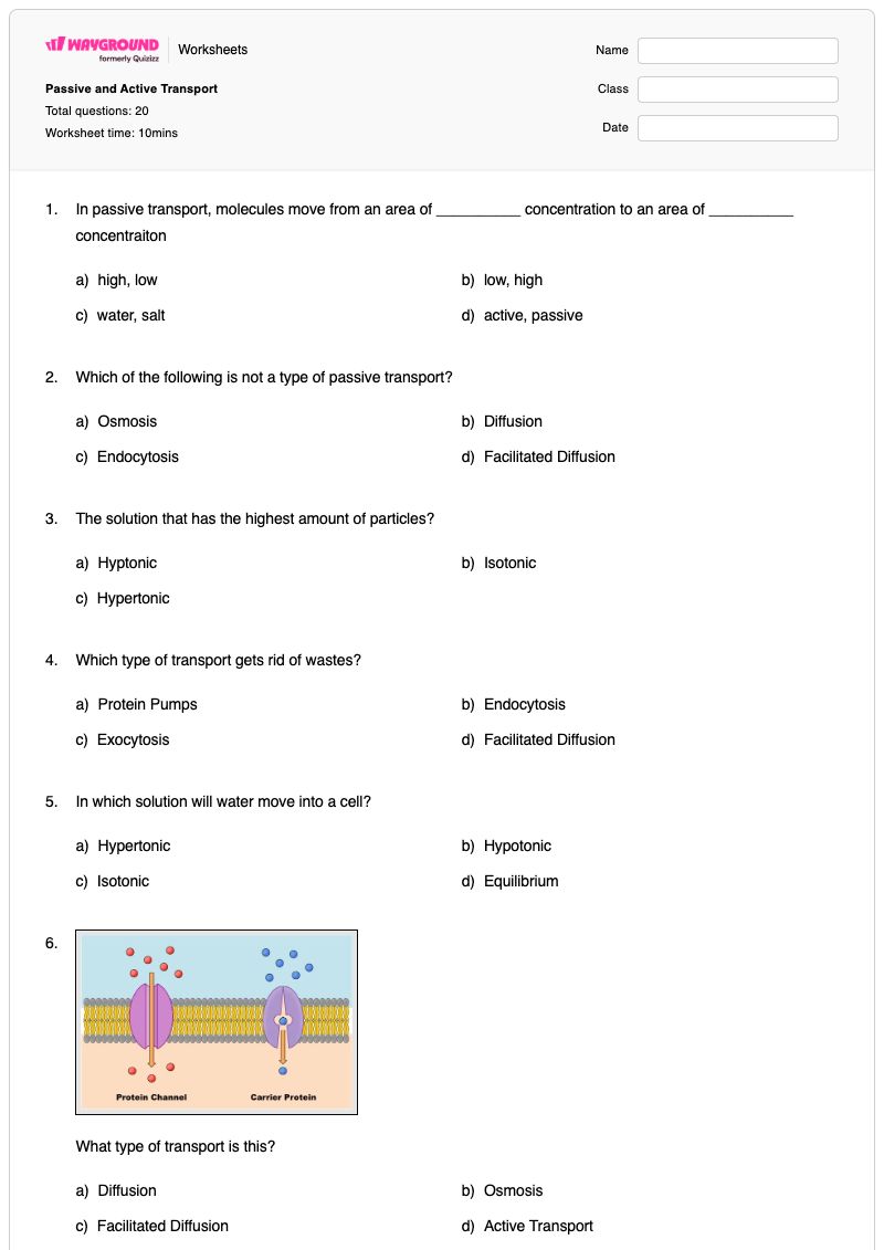 Passive and Active Transport - พิมพ์ได้ การขนส่งเชิงรุก เวิร์กชีท - Wayground