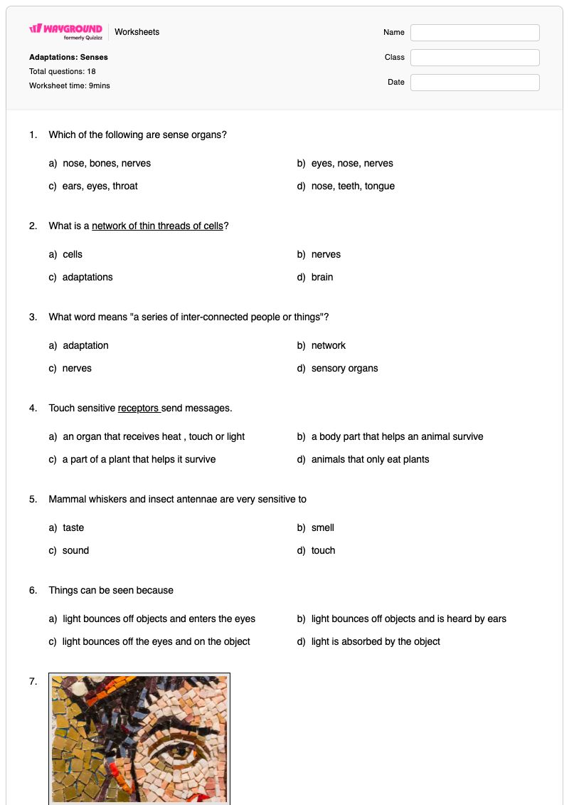 Adaptations: Senses - Printable Five-senses Worksheets Kindergarten - Wayground