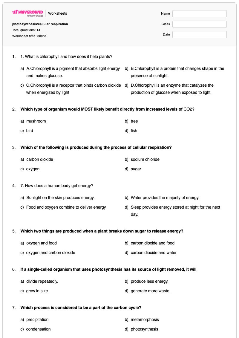 photosynthesis/cellular respiration - Printable Photosynthesis-and-cellular-respiration Worksheets - Wayground