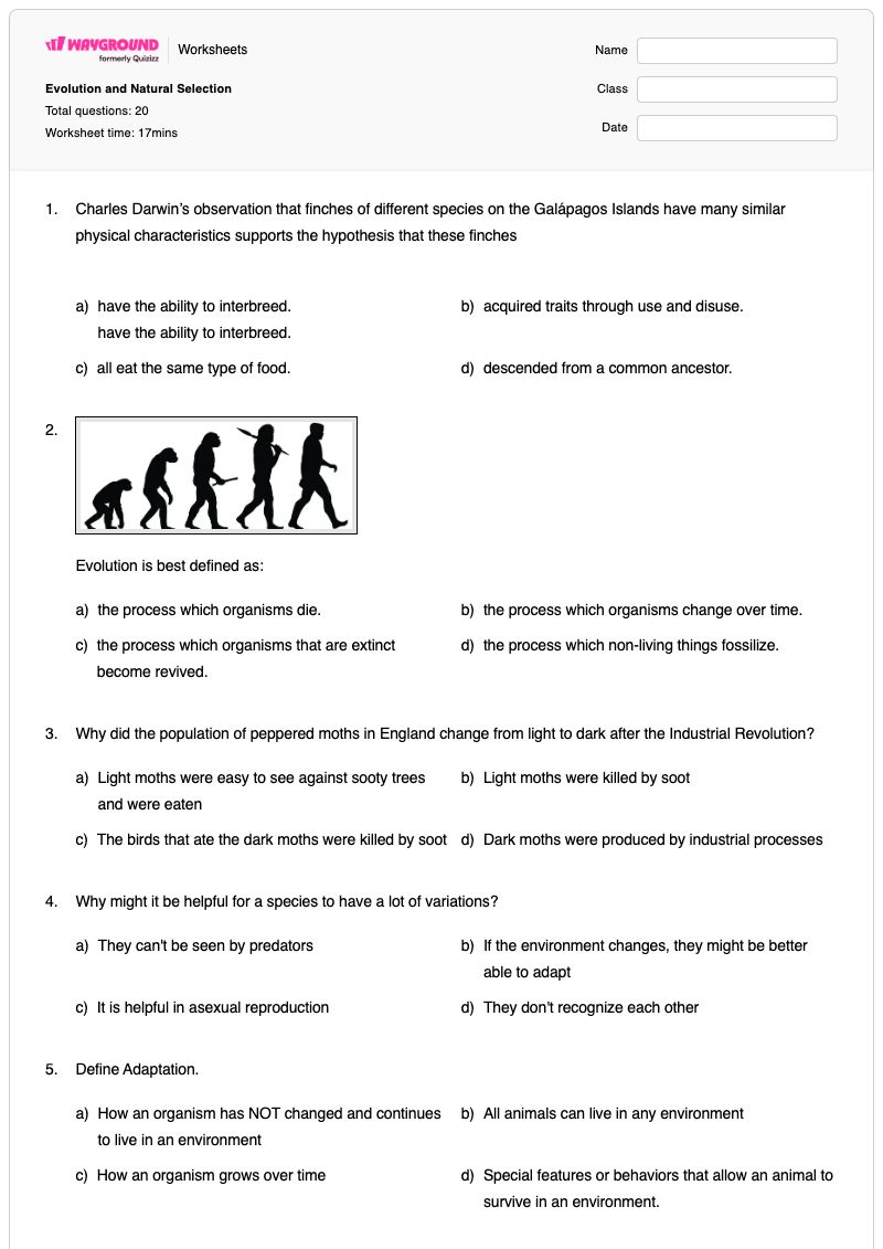 Evolution and Natural Selection - พิมพ์ได้ Embryology เวิร์กชีท - Wayground