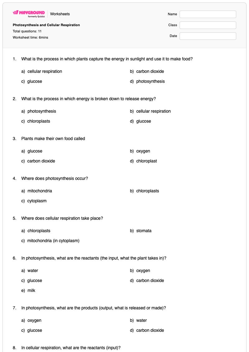 Photosynthesis and Cellular Respiration  - Printable Photosynthesis-and-cellular-respiration Worksheets - Wayground