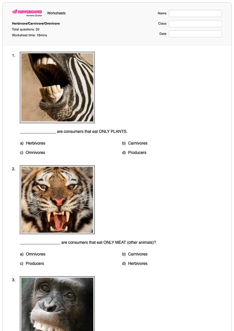 Herbivore/Carnivore/Omnivore - พิมพ์ได้ Herbivores เวิร์กชีท ระดับ 4 - Wayground