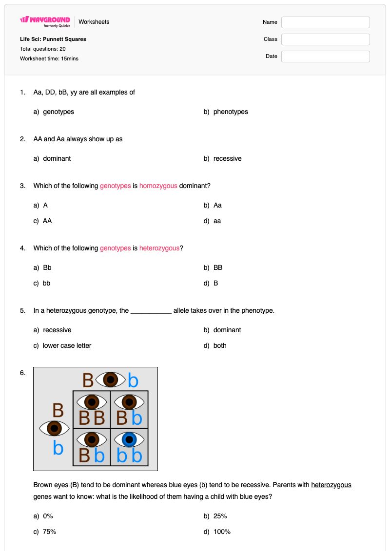 Life Sci: Punnett Squares - Printable Punnett-squares Worksheets Grade 9 - Wayground