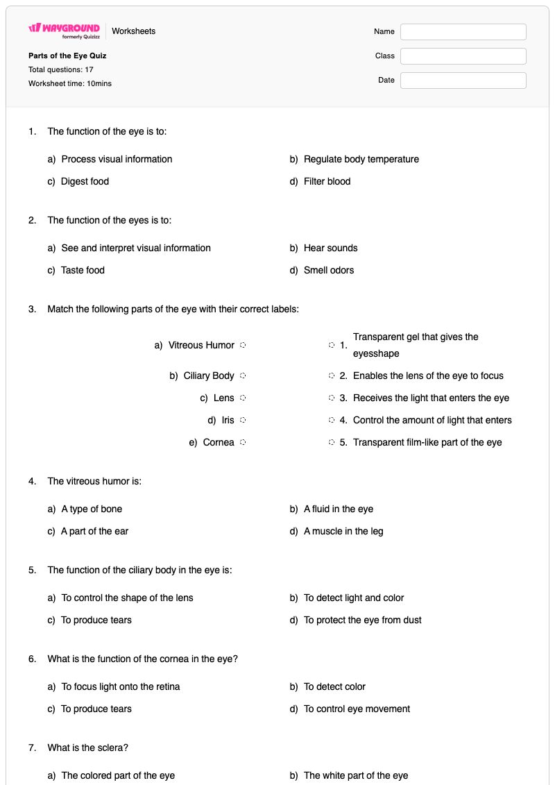 Parts of the Eye Quiz - พิมพ์ได้ สถานีแห่งไม้กางเขน เวิร์กชีท ระดับ 12 - Wayground