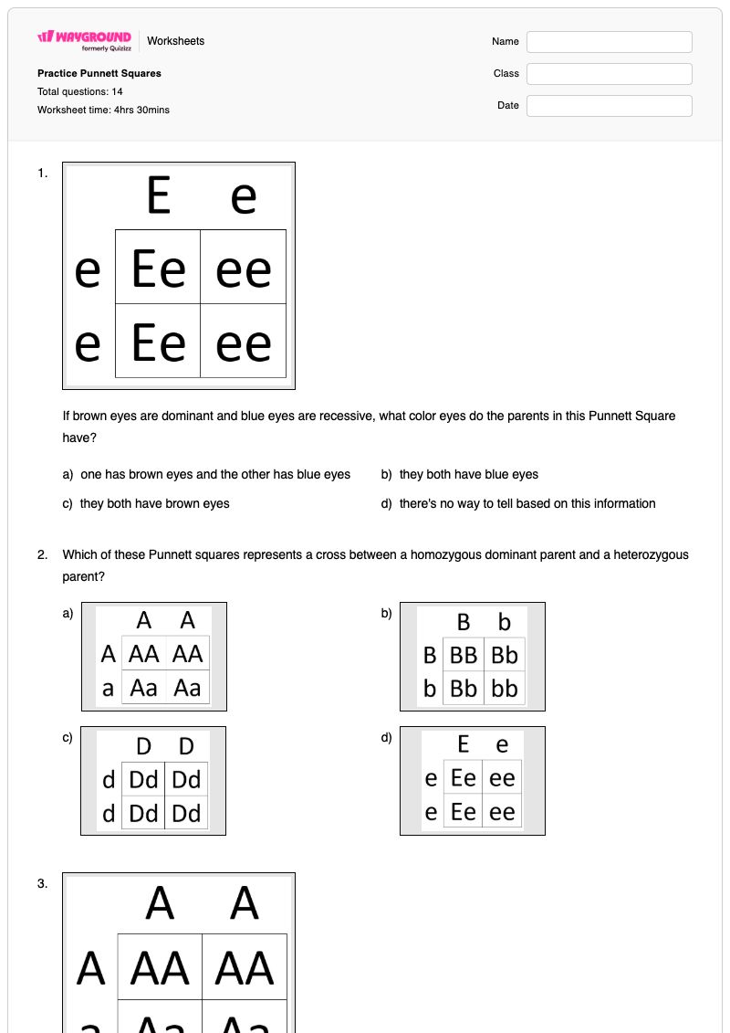Practice Punnett Squares - Printable Punnett-squares Worksheets Grade 9 - Wayground