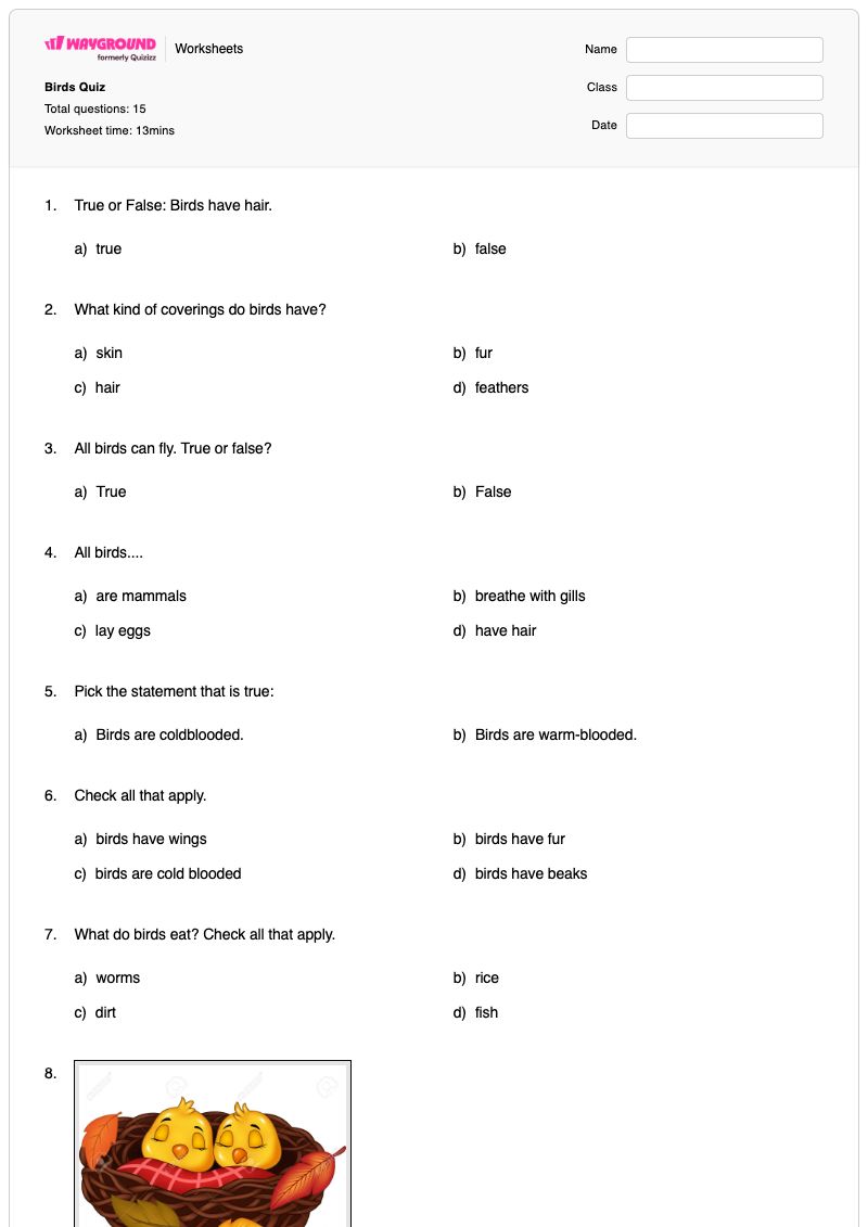 Birds Quiz - Printable Birds Worksheets Kindergarten - Wayground