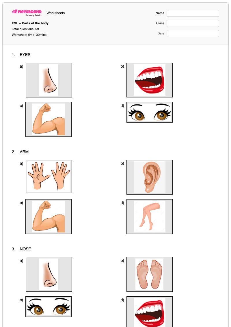 ESL -- Parts of the body - Printable Body-parts Worksheets - Wayground