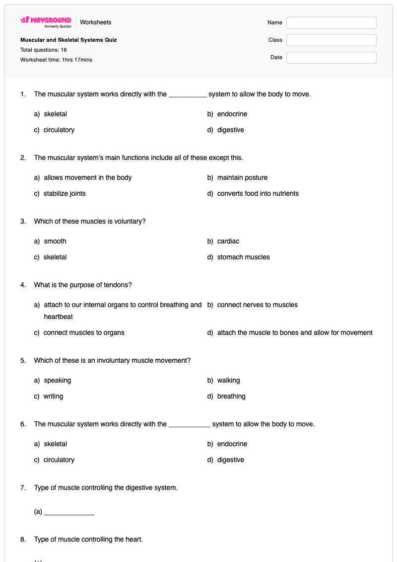 Muscular and Skeletal Systems Quiz - Printable Joints-and-movement Worksheets Kindergarten - Wayground