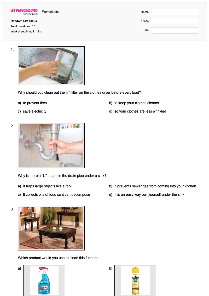 Random Life Skills - Printable Money-management Worksheets - Wayground