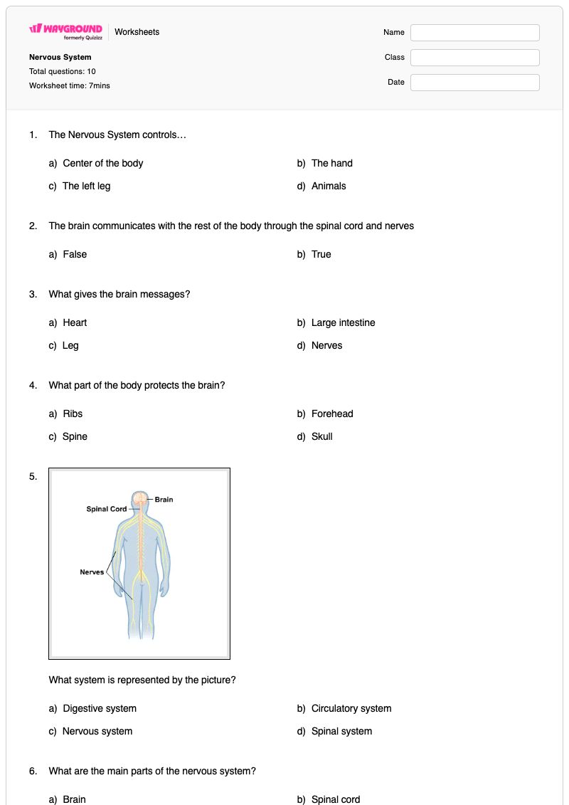 Nervous System - พิมพ์ได้ Microscope-parts เวิร์กชีท ระดับ 4 - Wayground