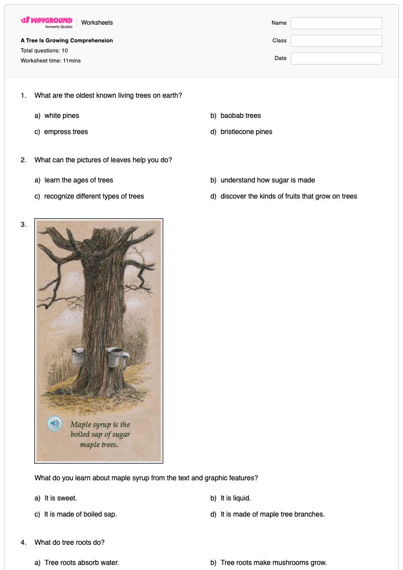 A Tree Is Growing Comprehension - Printable Parts-of-a-tree Worksheets - Wayground