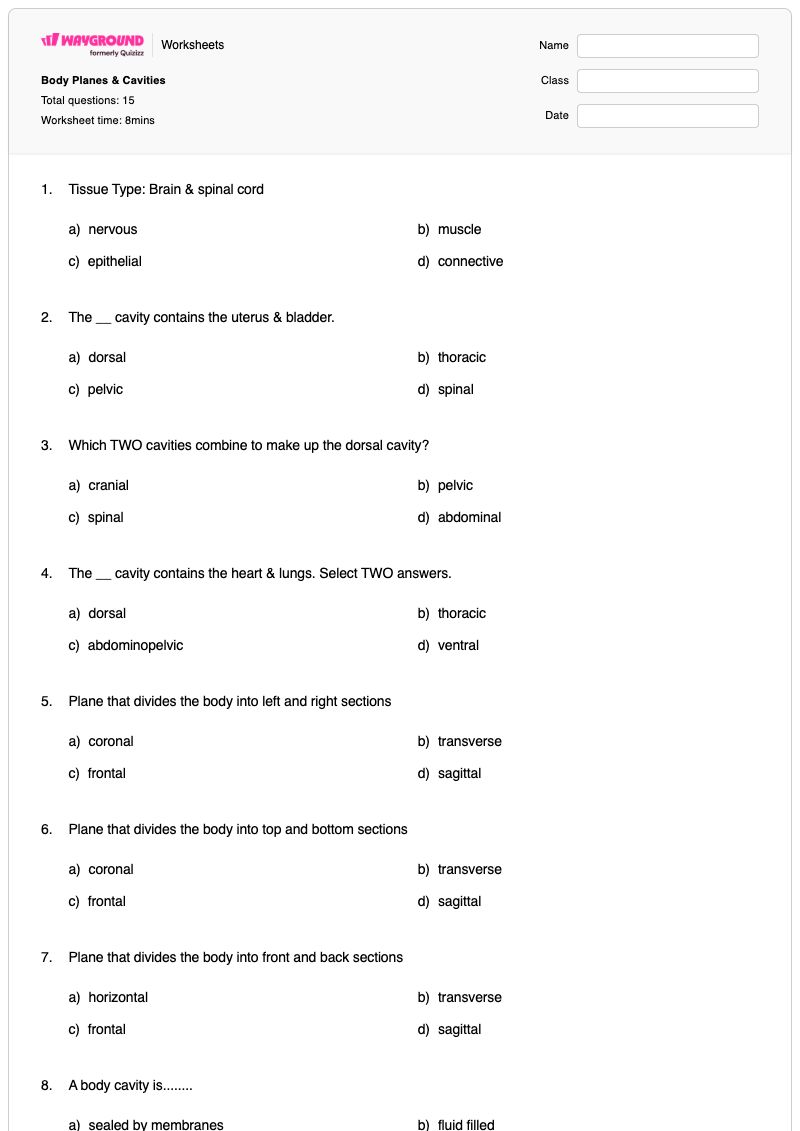 Body Planes & Cavities - Printable Body-planes Worksheets - Wayground