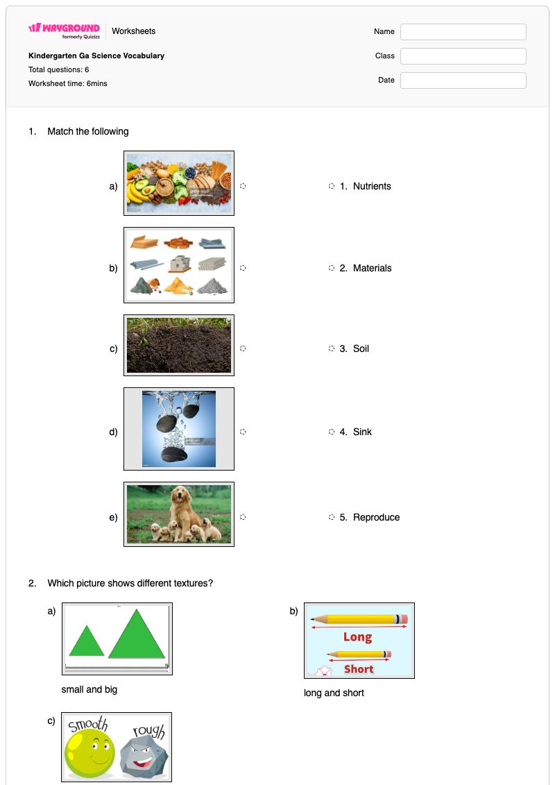 Kindergarten Ga Science Vocabulary - Printable Science Worksheets Kindergarten - Wayground