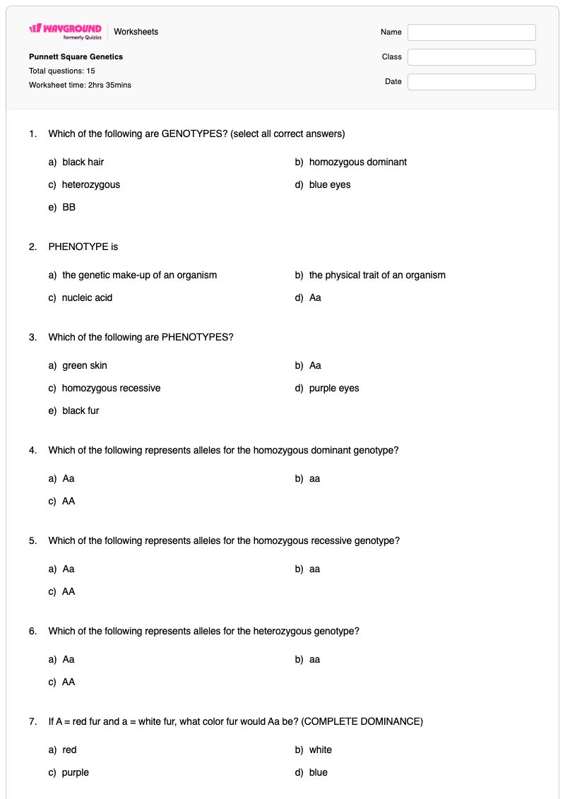 Punnett Square Genetics - Printable Genetics-vocabulary-genotype-and-phenotype Worksheets Grade 8 - Wayground