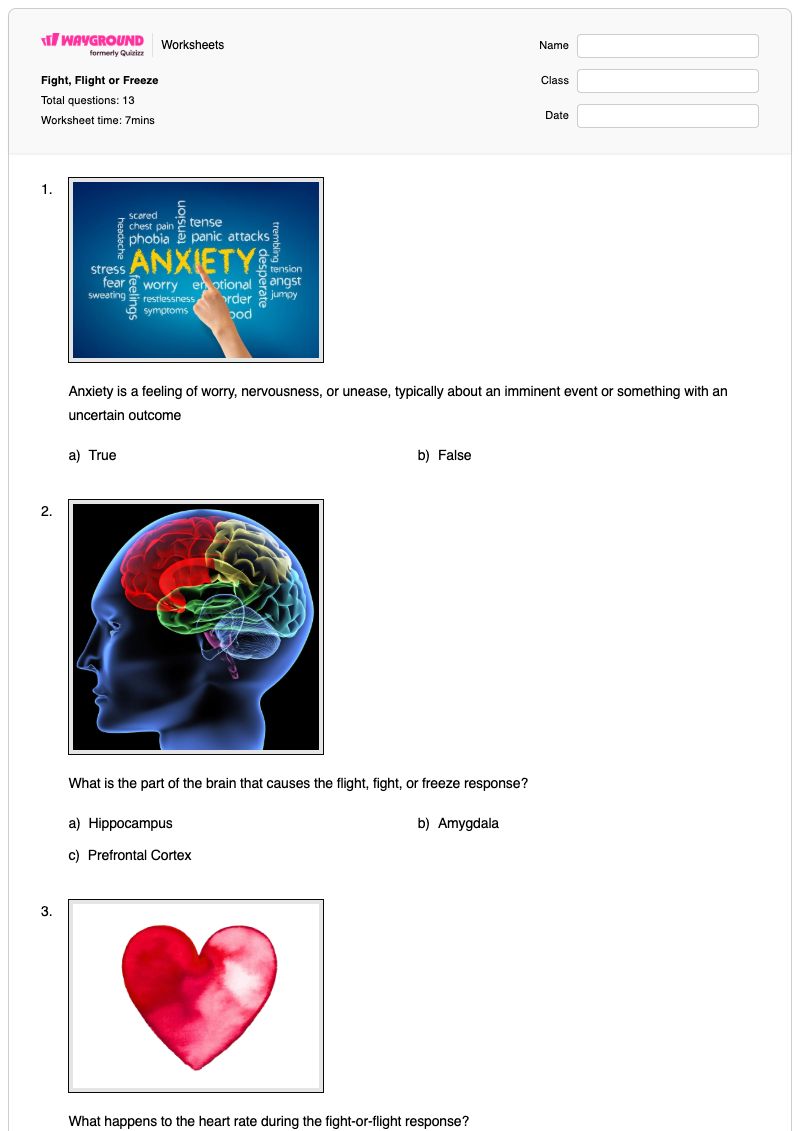 Fight, Flight or Freeze - Printable Anxiety-management Worksheets Class 6 - Wayground
