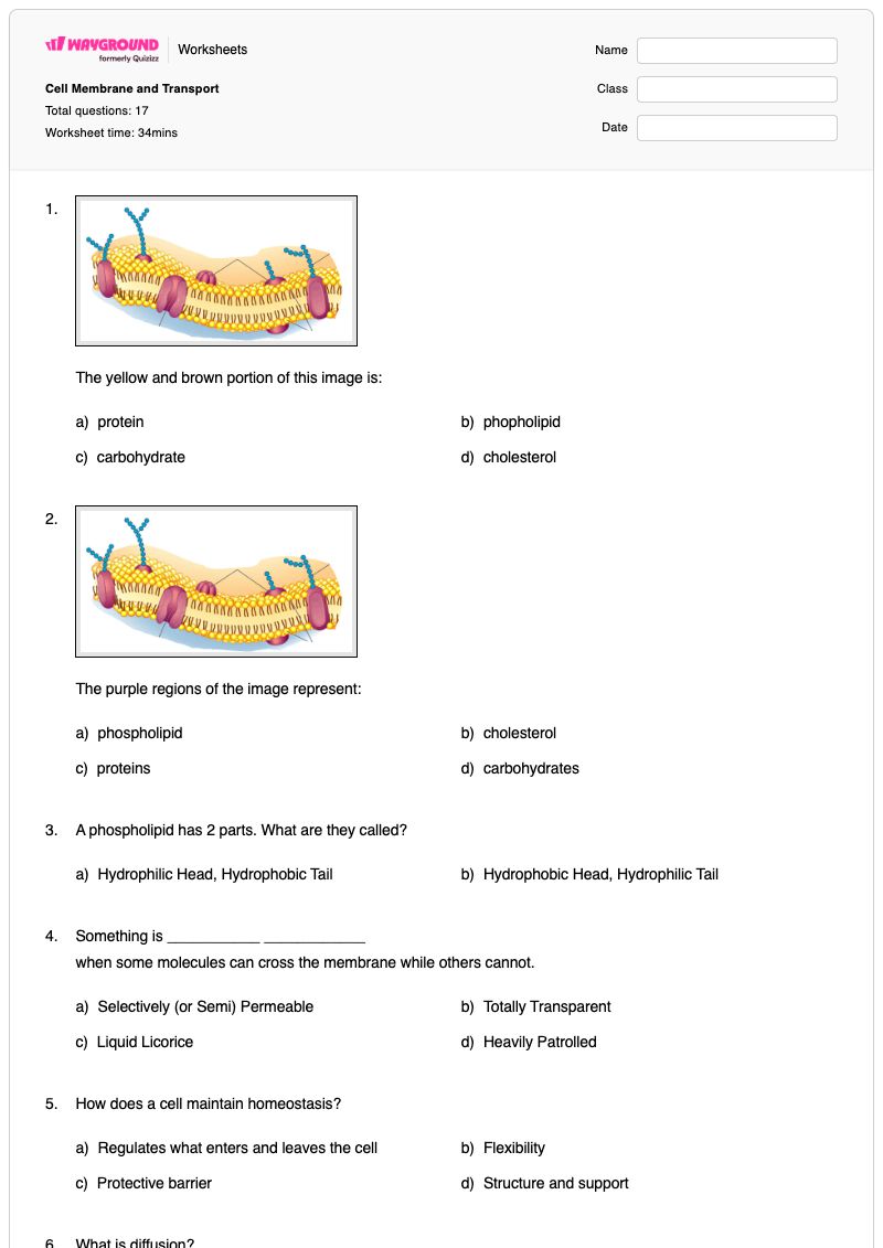 Cell Membrane and Transport - Printable The-cell-membrane Worksheets - Wayground