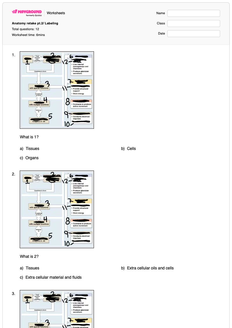 Anatomy retake pt.2/ Labeling - Printable Body-parts Worksheets - Wayground
