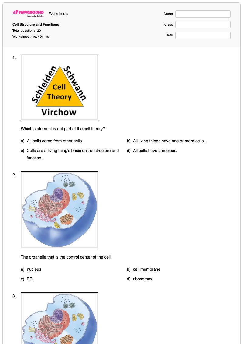 Cell Structure and Functions - พิมพ์ได้ เยื่อหุ้มเซลล์ เวิร์กชีท ระดับ 4 - Wayground