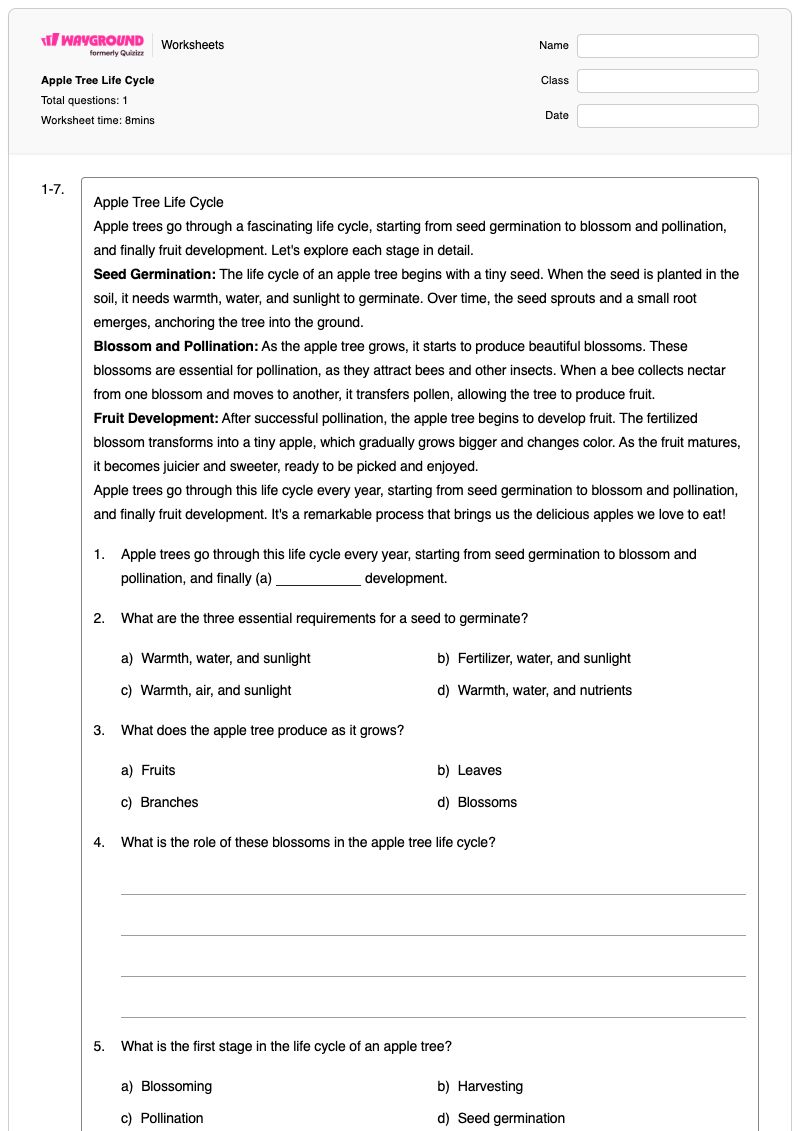 Apple Tree Life Cycle - Printable Apple-parts Worksheets Kindergarten - Wayground