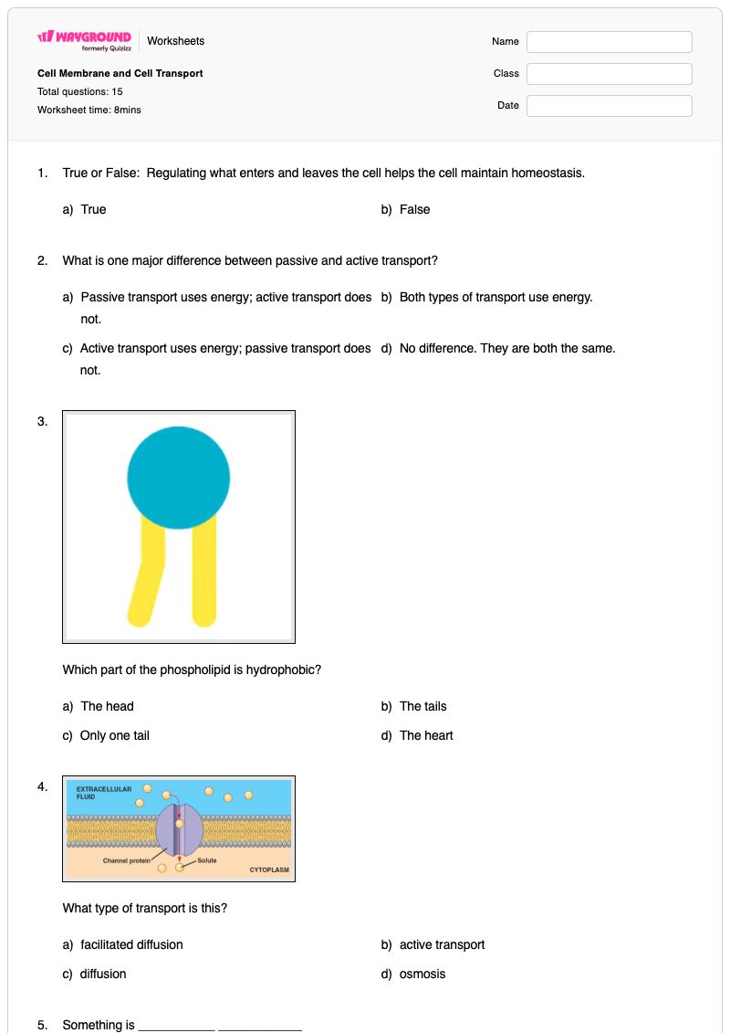 Cell Membrane and Cell Transport - Printable The-cell-membrane Worksheets - Wayground