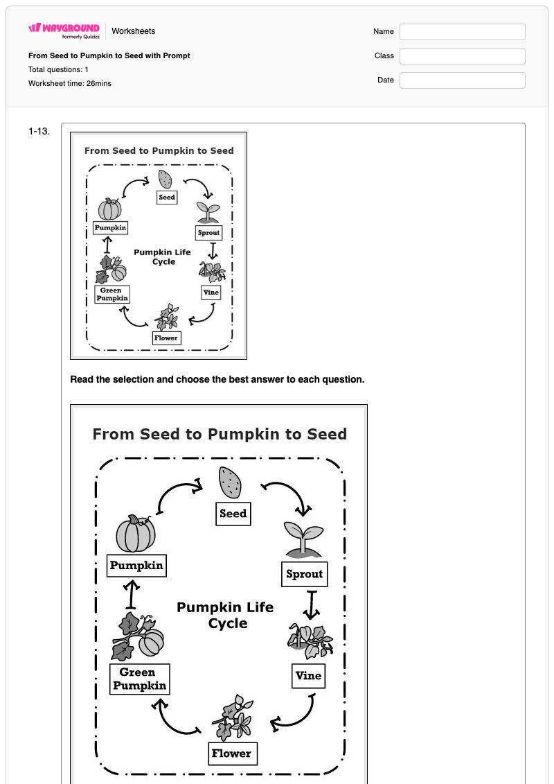 From Seed to Pumpkin to Seed with Prompt - Printable Growth-and-repair Worksheets Grade 3 - Wayground