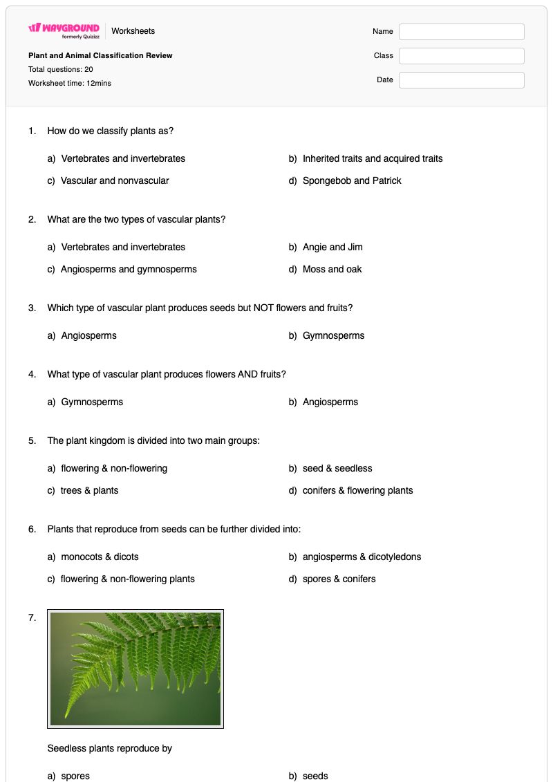 Plant and Animal Classification Review - พิมพ์ได้ Monocots-and-dicots เวิร์กชีท ระดับ 5 - Wayground