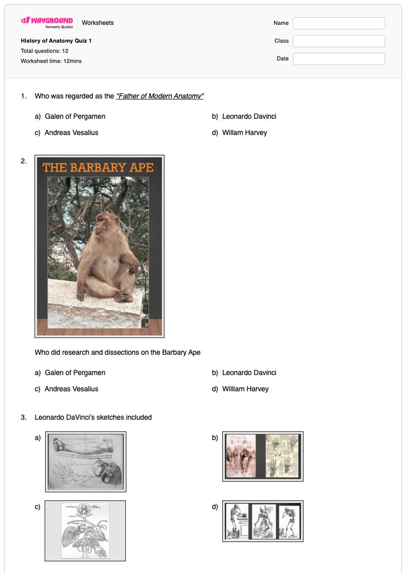 History of Anatomy Quiz 1 - พิมพ์ได้ Anatomy-labeling เวิร์กชีท - Wayground
