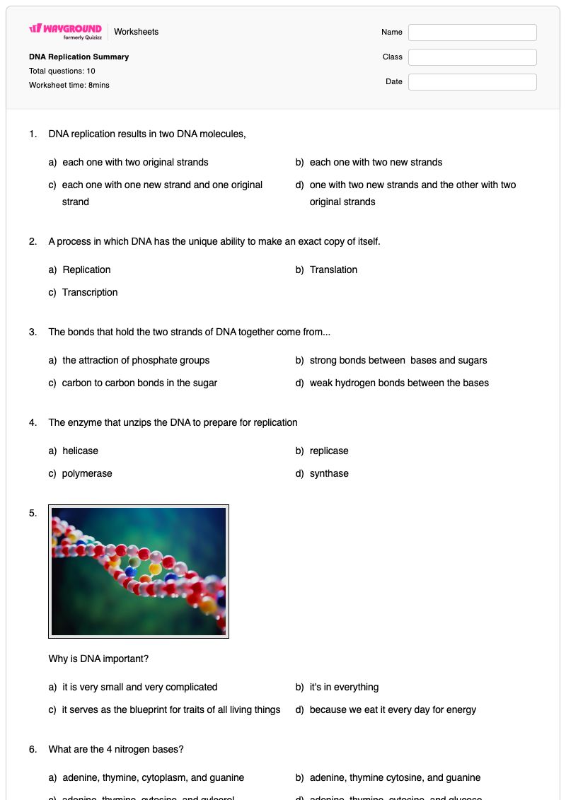 DNA Replication Summary - พิมพ์ได้ Dna-replication เวิร์กชีท - Wayground