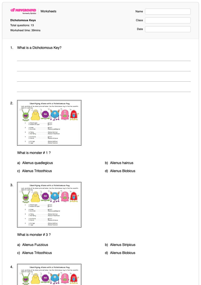 Dichotomous Keys - Printable Dichotomous-key Worksheets Year 5 - Wayground