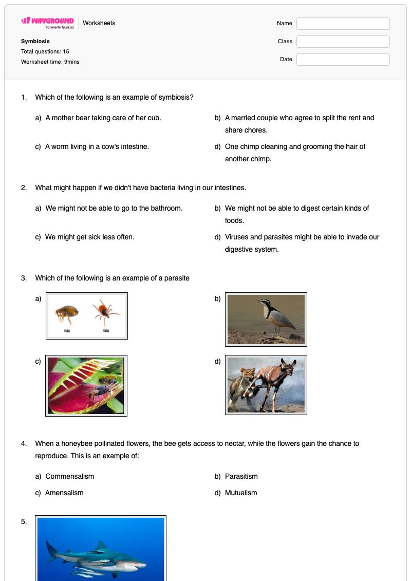 Symbiosis - Printable Symbiosis Worksheets - Wayground