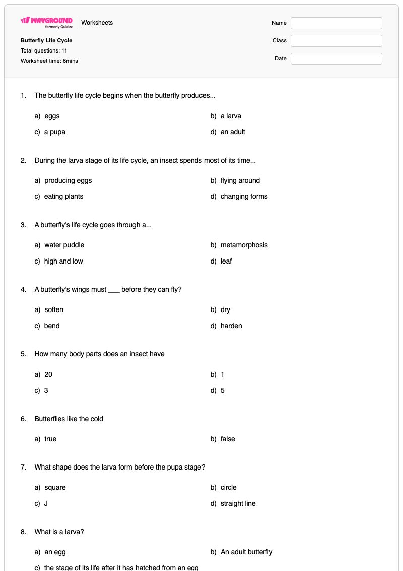 Butterfly Life Cycle - Printable Life-cycle Worksheets Kindergarten - Wayground