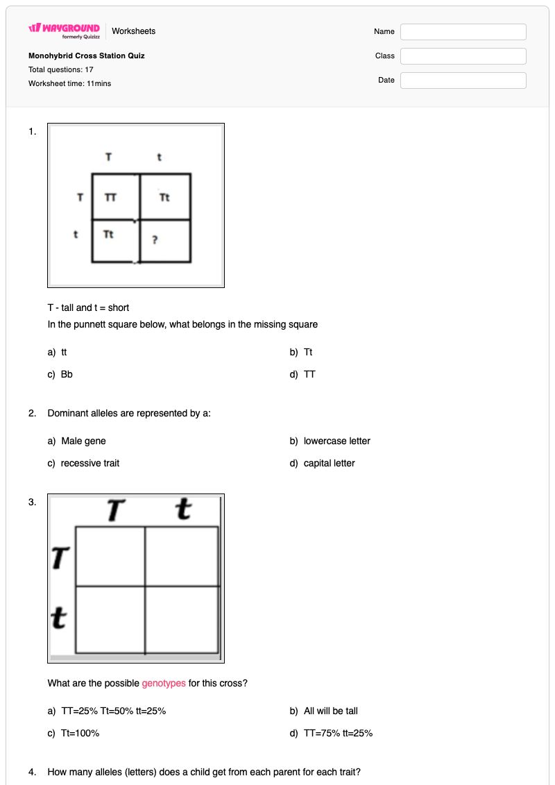 Monohybrid Cross Station Quiz - พิมพ์ได้ การผสมแบบโมโนไฮบริด เวิร์กชีท - Wayground