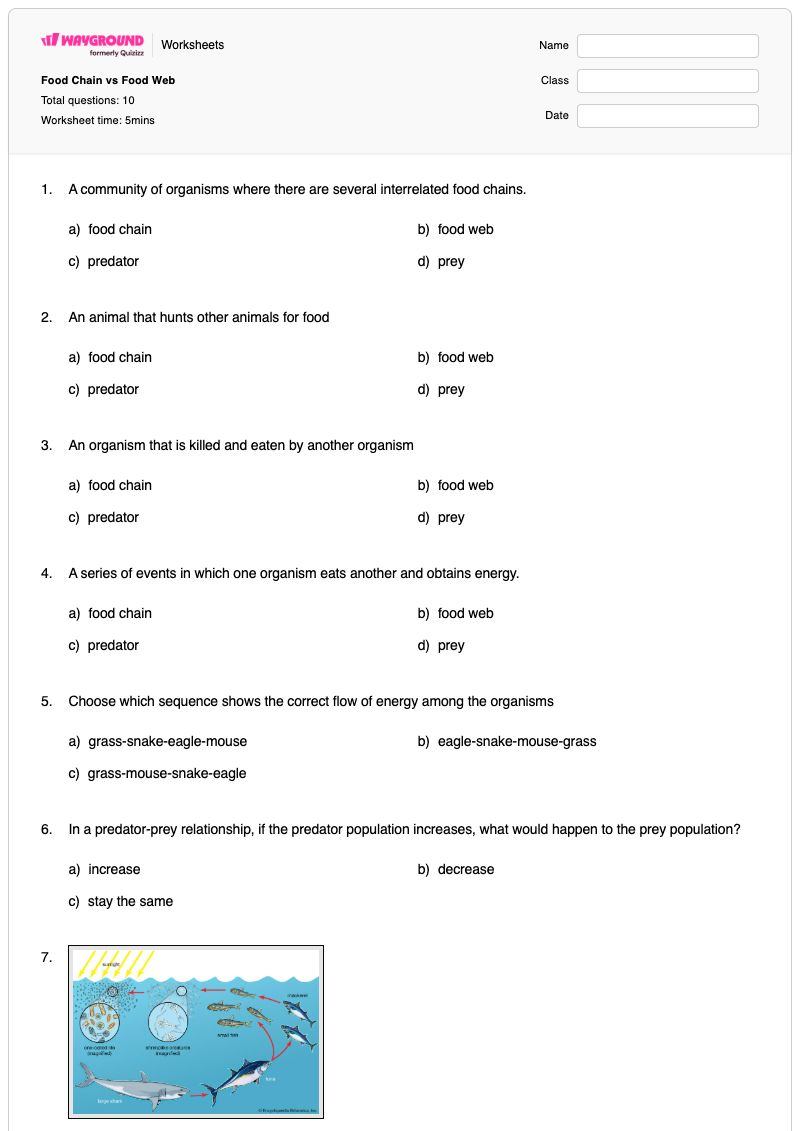 Food Chain vs Food Web - Printable Food-chain Worksheets Grade 8 - Wayground