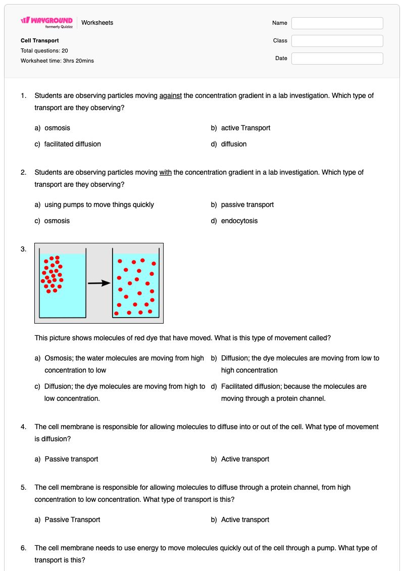 Cell Transport - พิมพ์ได้ การขนส่งเชิงรุก เวิร์กชีท - Wayground