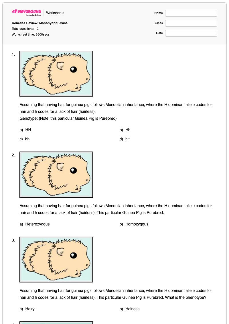 Genetics Review: Monohybrid Cross - พิมพ์ได้ การผสมแบบโมโนไฮบริด เวิร์กชีท - Wayground